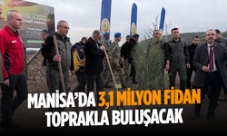 Manisa’da 2025 sonuna kadar 3,1 milyon fidan toprakla buluşacak