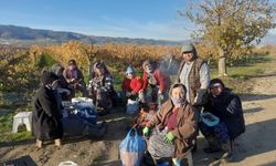 Üzüm bağlarında kadın istihdamı artıyor