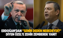 Erdoğan'dan "Senin deden neredeydi?" diyen Özel'e zehir zemberek yanıt