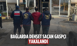 Çiftçilerin korkulu rüyası gaspçı jandarmadan kaçamadı