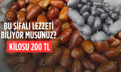 Alaşehir’de iğde ağaçlarının sayısı her geçen gün azalıyor