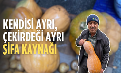 Kendisi ayrı, çekirdeği ayrı şifa kaynağı