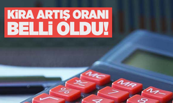 Konut ve iş yerleri için uygulanacak kira zam tavanı yüzde 35.91 oldu