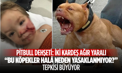 “Bu Köpekler Hâlâ Neden Yasaklanmıyor?” Tepkisi Büyüyor
