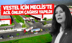 Vestel için Meclis'te acil önlem çağrısı yapıldı
