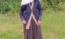 Kırkağaç'ın tarihi çınarı 112 yaşında hayatını kaybetti