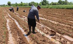 Büyükşehir'den çiftçiye destek eli