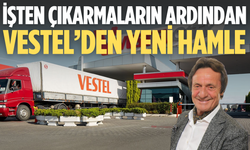 Vestel, beyaz eşya üretimi için yeni şirket kurdu