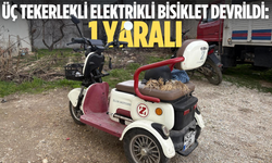 Üç tekerlekli elektrikli bisiklet devrildi: 1 yaralı