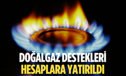 Doğalgaz destekleri hesaplara yatırıldı