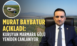 Manisa'da kuruyan Marmara Gölü yeniden canlanıyor