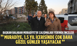 Başkan Balaban Muradiye'de çalışmaları yerinde inceledi