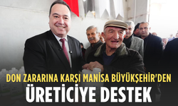 Don zararına karşı Manisa Büyükşehir'den üreticiye destek
