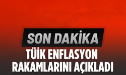 Aralık enflasyonu açıklandı: Memur ve emeklinin zam farkı netleşti