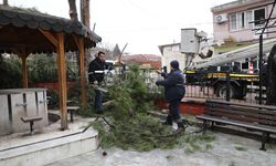 Şehzadeler Belediyesi’nin budadığı dallar ihtiyaç sahiplerinin ocağını ısıtıyor