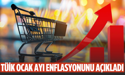 Ocak ayı enflasyonu açıklandı