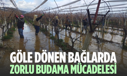 Göle dönen bağlarda budama mücadelesi