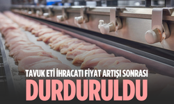 Tavuk eti ihracatı fiyat artışı sonrası durduruldu