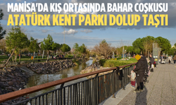 Manisa'da kış ortasında bahar coşkusu