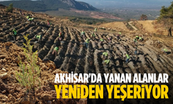 Akhisar'da yanan alanlar yeniden yeşeriyor: 2 milyon 325 bin fidan toprakla buluşacak