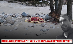 Balıkları kurtarmak isterken sele kapılarak hayatını kaybetti