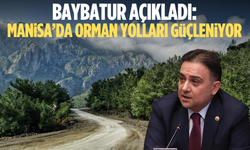 Baybatur duyurdu: Yangınla mücadelede yeni hamle