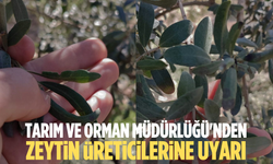 Tarım ve Orman Müdürlüğü'nden zeytin üreticilerine halkalı leke uyarısı