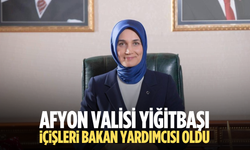 Afyon valisi Yiğitbaşı İçişleri bakan yardımcısı oldu