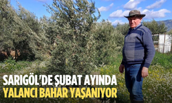 Sarıgöl'de şubat ayında yalancı bahar yaşanıyor