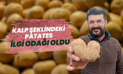 Kalp şeklindeki patates ilgi odağı oldu
