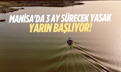 Manisa'da 3 ay sürecek yasak yarın başlıyor