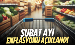 Şubat ayı enflasyonu açıklandı