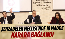Şehzadeler Meclisi’nde 18 madde karara bağlandı