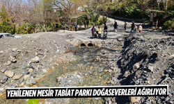 Yenilenen Mesir Tabiat Parkı doğaseverleri ağırlıyor