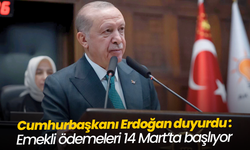 Emekli maaşı ve bayram ikramiyeleri 14 Mart'tan itibaren hesaplara yatacak