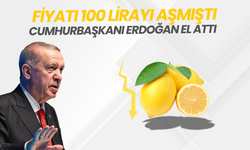 Tezgahta 100 lirayı aşmıştı: Limon fiyatları için yeni adım