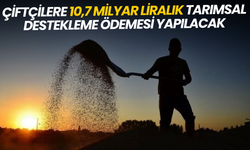 Çiftçilere 10,7 milyar liralık tarımsal destekleme ödemesi yapılacak