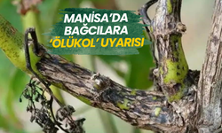 Manisa’da bağcılara ‘Ölükol’ uyarısı