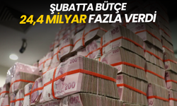 Şubatta bütçe 24,4 milyar fazla verdi