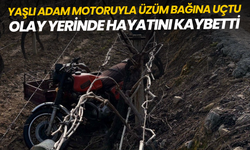 Manisa'da sepetli motosiklet üzüm bağına uçtu: 1 ölü