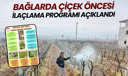 Bağlarda çiçek öncesi ilaçlama programı açıklandı