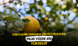 TÜİK'e göre limonda üretici fiyatları yıllık yüzde 410 yükseldi