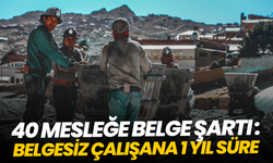 40 mesleğe belge şartı: Belgesiz çalışana süre verildi