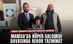 Manisa'da köpek saldırısı davasında rekor tazminat