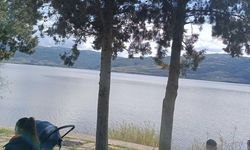 Sarıgöl Ovası'nda su sevinci