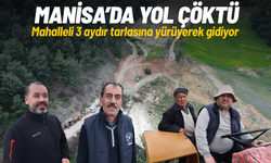 Yol çöktü, mahalleli 3 aydır tarlasına yürüyerek gidiyor