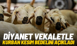 Diyanet, vekaletle kurban kesim bedelini açıkladı
