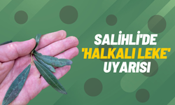 Salihli'de 'Halkalı leke' uyarısı