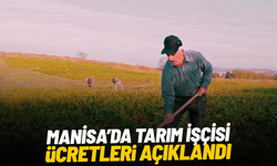 Manisa’da tarım işçisi ücretleri açıklandı