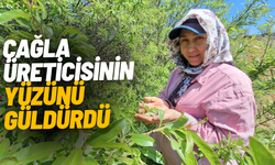 Çağla, üreticisinin yüzünü güldürdü